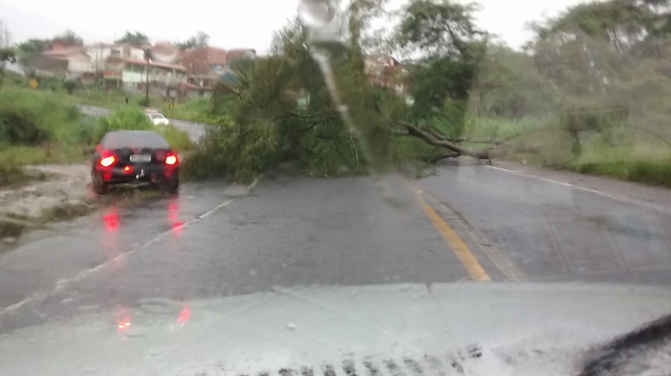 Carroceria de carreta sem freio quase atropela idosa e invade parquinho