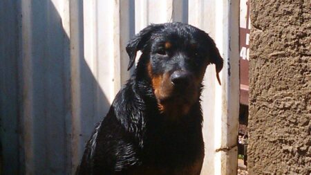 Foto: VocÃª no PiraNOT