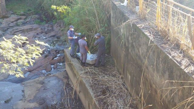 Foto: Tonny Machado / Rádio Raízes FM