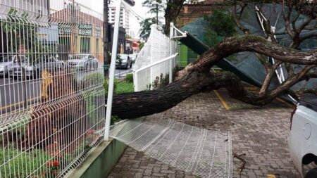 Foto: ReproduÃ§Ã£o / Facebook