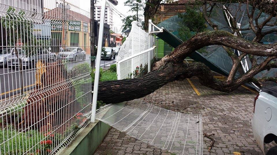 Chuva de verão derruba mais árvores e volta a alagar ruas, avenidas e shopping