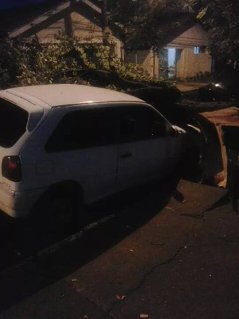 Foto: Apoio a PolÃ­cia Militar de Piracicaba / Face Book