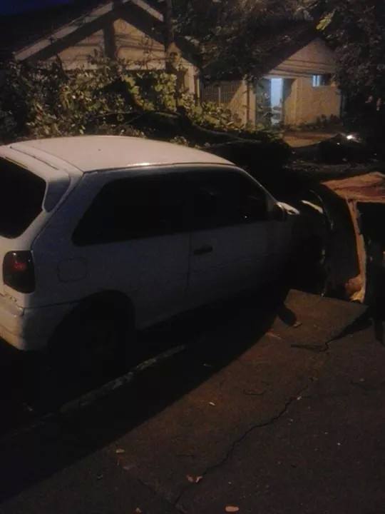 Árvore cai em cima de carro de policial militar no Centro