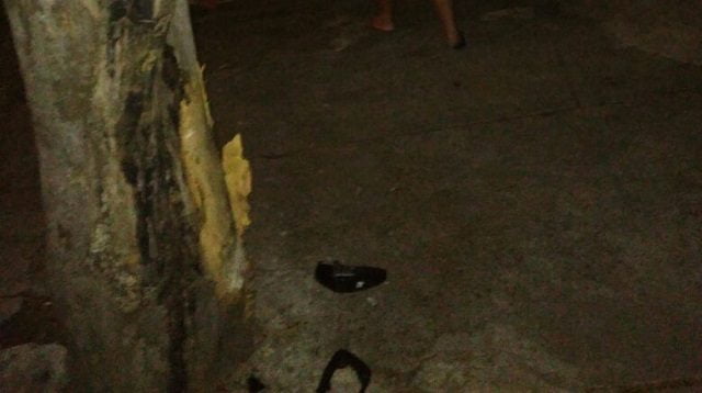 Foto: Wagner Romano / PIRANOT