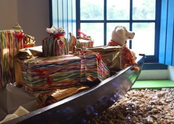 Foto: Jeneli Wrasse Lorenz