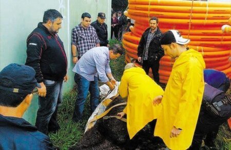 Foto: DivulgaÃ§Ã£o