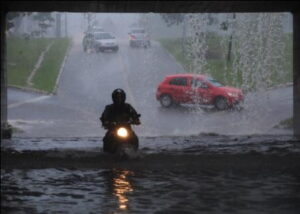 Chuva derrubou 5 árvores