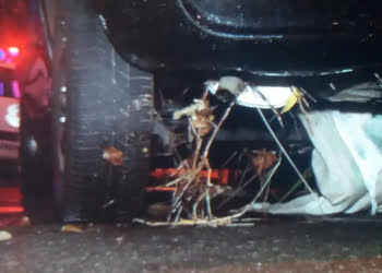 Foto: Marcelo Carrijo