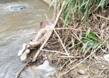 Foto: Reprodução / Facebook