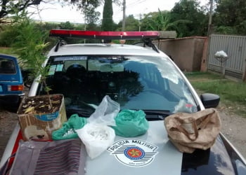 Denúncia levou policiais a casa onde droga e suspeitos estavam - Foto: Divulgação