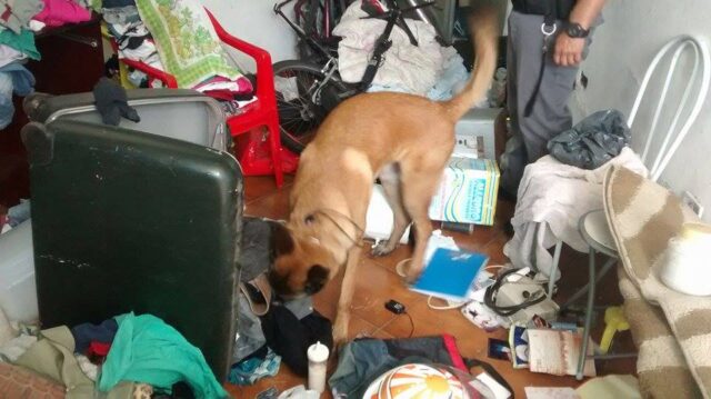 Foto: Valter Martins / Piracicaba em Alerta