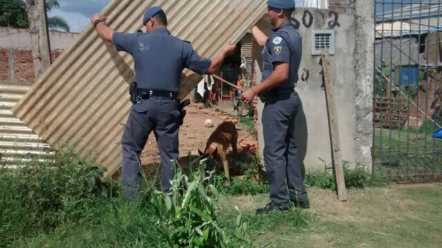 Canil ajudou na ocorrência - Foto: Divulgação