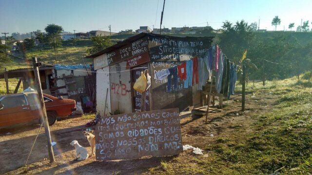 Foto: Valter Martins / PIRANOT