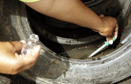 Piracicaba (SP): começa neste sábado (16) arrastão do combate à Dengue dengue