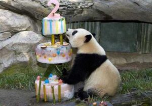 Wall Street Bets Against Airlines Even as Summer Travel Booms