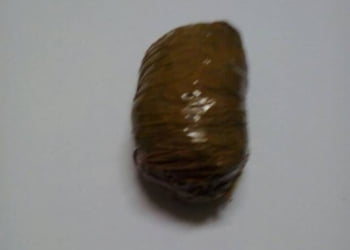 Droga seria entregue ao marido para pagar dÃ­vida - Foto: DivulgaÃ§Ã£o