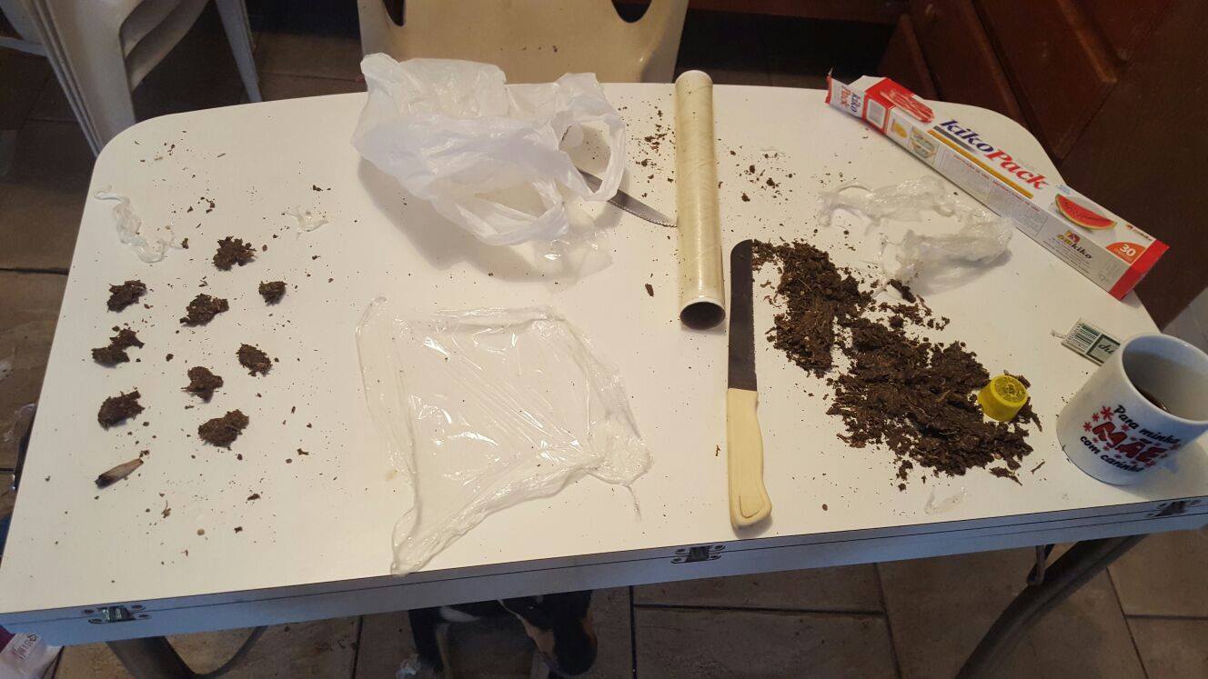 Denúncia ajuda a Guarda Civil flagrar jovens embalando maconha em Piracicaba