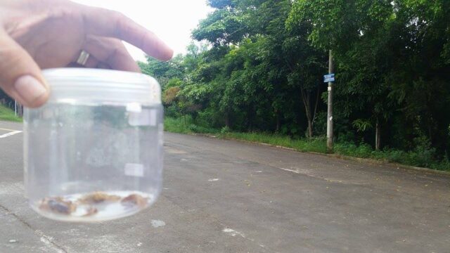 Foto: Você no PiraNOT