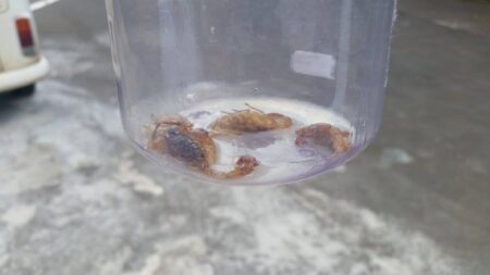 Foto: VocÃª no PiraNOT