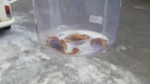 Foto: VocÃª no PiraNOT