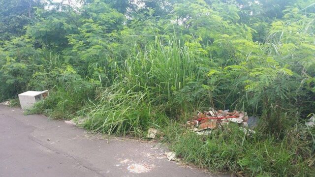 Foto: Você no PiraNOT