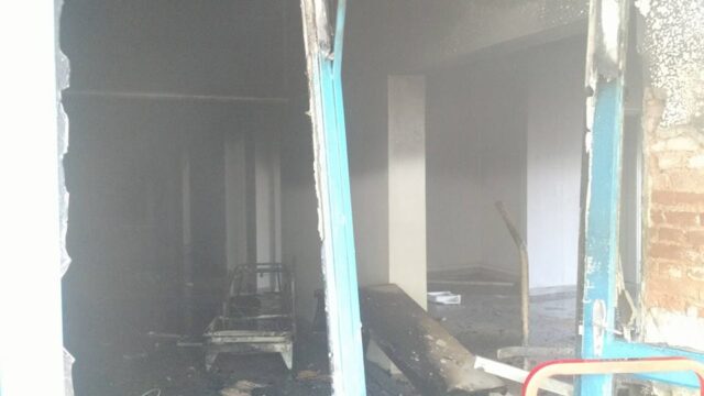 Foto: Wagner Romano / PIRANOT