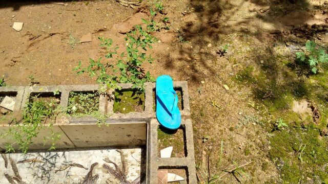 Foto: Valter Martins / Piracicaba em Alerta