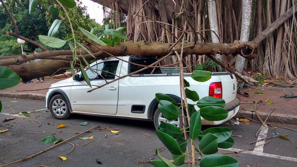 Galho de árvore cai sobre carro em Piracicaba
