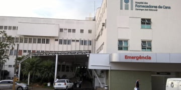 Foto: Junior Cardoso / PIRANOT