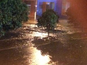 Foto: Wagner Romano / PIRANOT