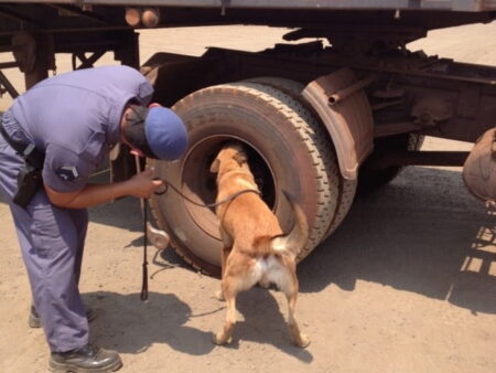 Droga foi encontrada apÃ³s denÃºncia anÃ´nima - Foto: DivulgaÃ§Ã£o