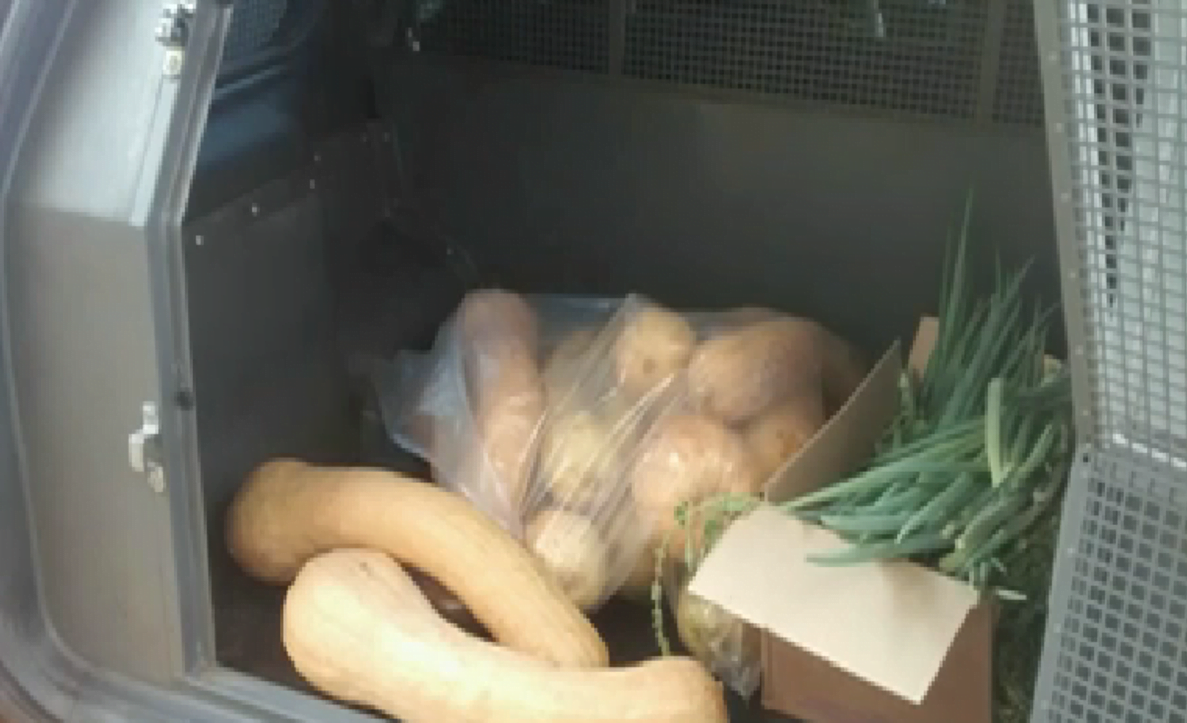 Dupla é presa com legumes furtados em Piracicaba