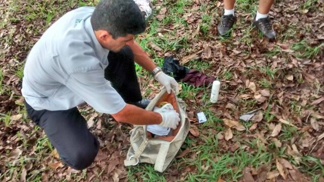 Bolsa foi localizada pela polícia no mesmo local - Foto: Valter Martins / Piracicaba em Alerta