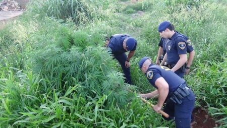 Foto: DivulgaÃ§Ã£o