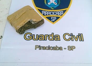 Tijolo estava com um homem que foi preso pela Guarda Civil - Foto: DivulgaÃ§Ã£o / Guarda Civil