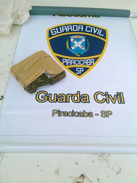 Tijolo estava com um homem que foi preso pela Guarda Civil - Foto: DivulgaÃ§Ã£o / Guarda Civil