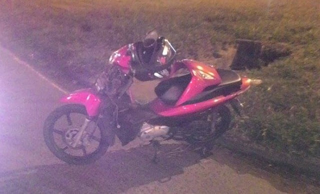 Foto: Wagner Romano / PIRANOT