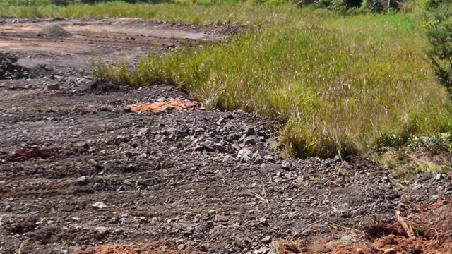 Foto: Junior Cardoso