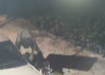 Foto: DivulgaÃ§Ã£o / Cemel