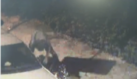 Foto: DivulgaÃ§Ã£o / Cemel