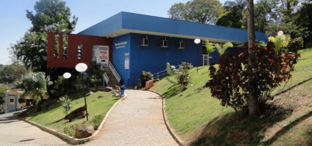 “Férias na Pinacoteca” terá aulas gratuitas de desenho e pintura crianças e adolescentes