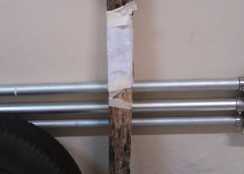 Foto: Todo dia / UOL