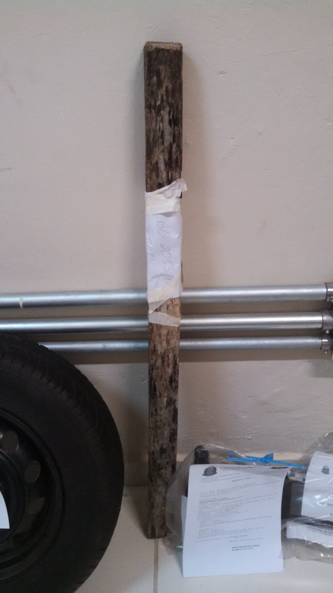 Jovem é procurado após matar galo da mãe a pauladas