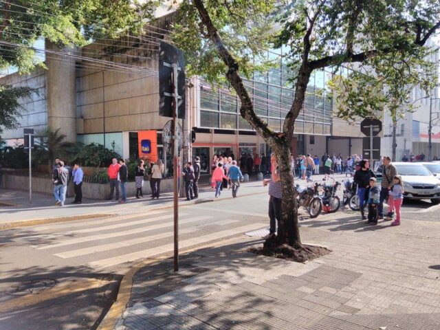 Foto: Wagner Romano / PIRANOT