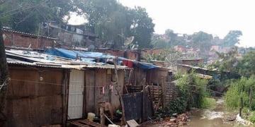 Foto: Wagner Romano / PIRANOT