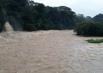 Foto: Cida Goffi / Você no Pira