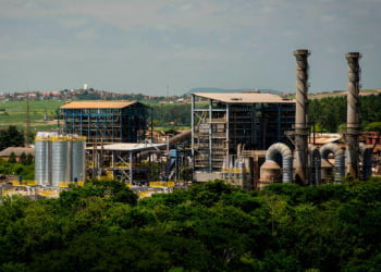 Foto: DivulgaÃ§Ã£o