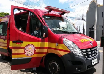 Foto: Wagner Romano / PIRANOT
