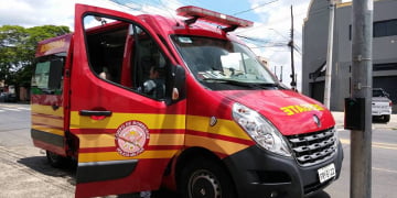 Foto: Wagner Romano / PIRANOT