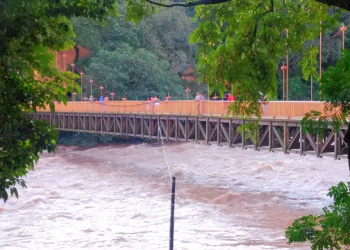 Foto: Júnior Cardoso / PIRANOT